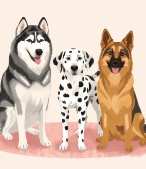 How Long Do Alaskan Malamute, Dalmatian, and German Shepherd Dogs Live?