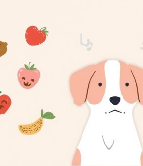 Food Allergies in Dogs