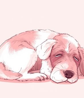 Dog Breeders in Dubai : Complete Guide to Worm Symptoms and Prevention